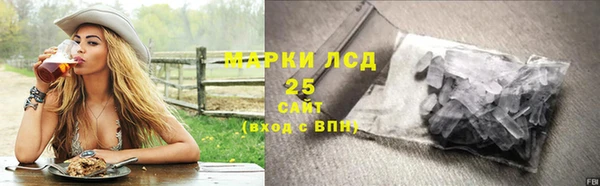 молекула духа Каменск-Шахтинский