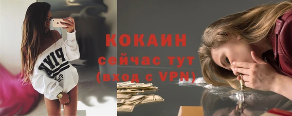 мескалин Каменка